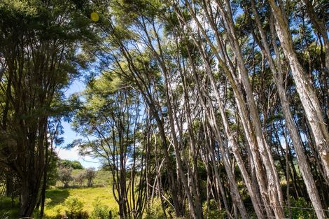 Photo of property in 49 Mangotahi Road, Thames, 3577