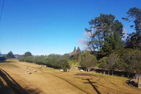 Photo of property in 249 Plummers Point Road, Whakamarama, Tauranga, 3172