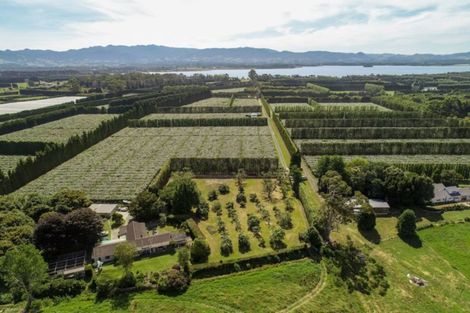 Photo of property in 380b Matahui Road, Aongatete, Katikati, 3181