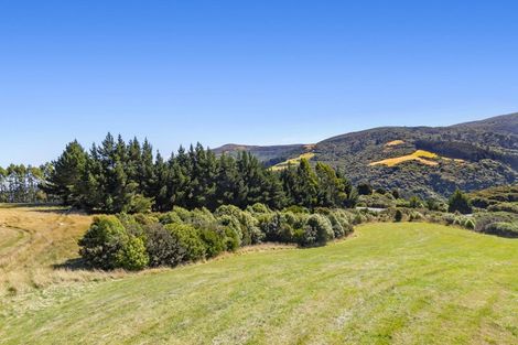Photo of property in 5 Cowan Road, Pine Hill, Dunedin, 9010