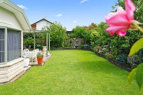 Photo of property in 55 Seales Road, Morrinsville, 3300