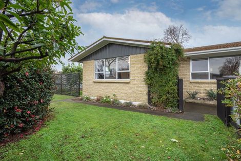 Photo of property in 1/56 Leefield Street, Blenheim, 7201