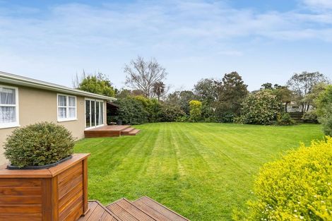 Photo of property in 9 Patea Place, Terrace End, Palmerston North, 4410