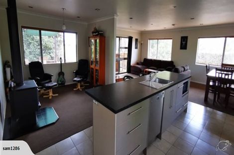 Photo of property in 81 Oparia Road, Turua, 3574