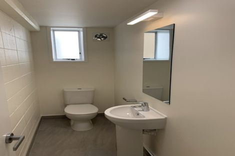 Photo of property in 2 Couldry Street, Eden Terrace, Auckland, 1021