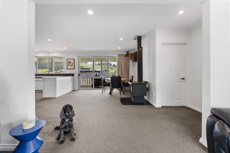 Photo of property in 20a Fairview Terrace, Sawyers Bay, Port Chalmers, 9023