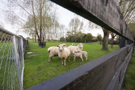 Photo of property in 136 Tutaki Road, Kelvin Grove, Palmerston North, 4470