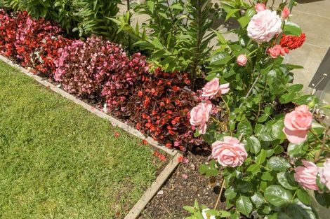 Photo of property in 31 Condor Drive, Pyes Pa, Tauranga, 3112