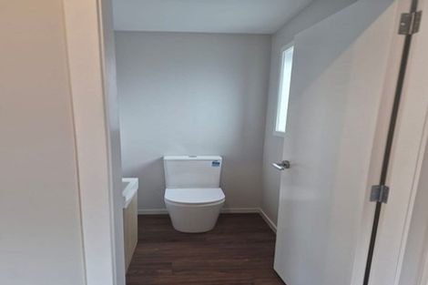 Photo of property in 21b Ferguson Street, Levin, 5510