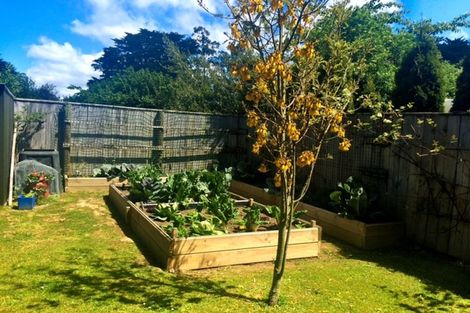 Photo of property in 18 Lincoln Road, Carterton, 5713