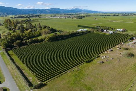 Photo of property in 5 Brook Street, Renwick, 7204