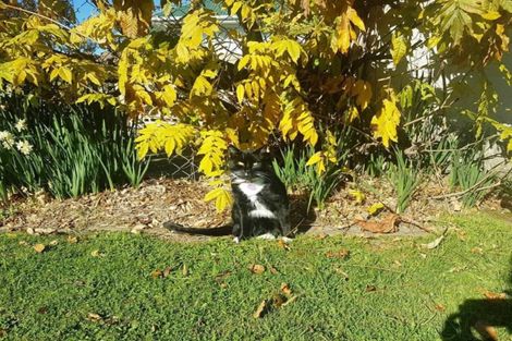 Photo of property in 616 Campbell Place, Raureka, Hastings, 4120