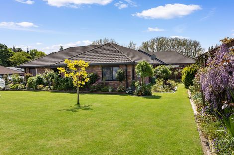 Photo of property in 55/2 Seales Road, Morrinsville, 3374