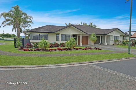 Photo of property in 45 Riverstone Road, Te Atatu Peninsula, Auckland, 0610