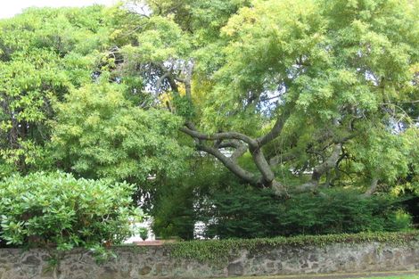 Photo of property in 48 Allendale Road, Mount Albert, Auckland, 1025