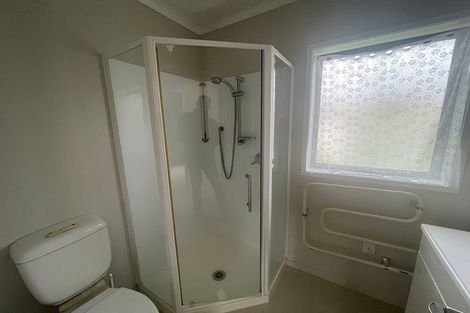 Photo of property in 3 Andrusha Place, Flat Bush, Auckland, 2019