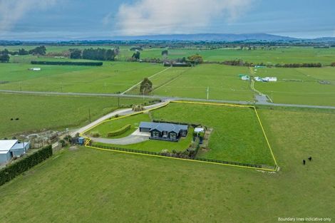 Photo of property in 487 Makino Road, Feilding, 4779