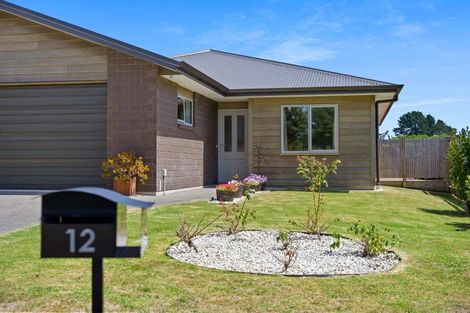 Photo of property in 12 Tamihana Street, Otaki, 5512
