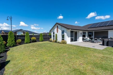 Photo of property in 43 Batten Drive, Flagstaff, Hamilton, 3210