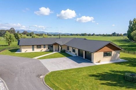 Photo of property in 2/53 Jellicoe Street, Greytown, 5712