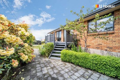 Photo of property in 12 Wills Street, Balaclava, Dunedin, 9011