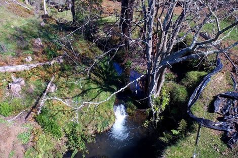 Photo of property in 183 Te Tahi Road, Puketotara, Te Awamutu, 3876