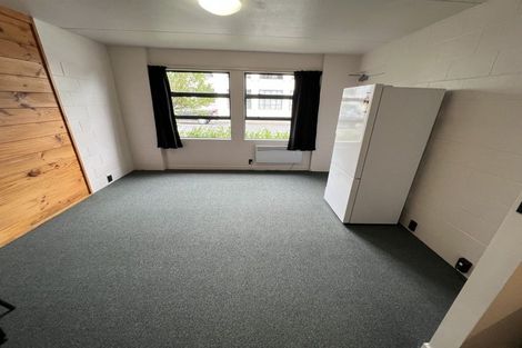 Photo of property in Te Awhina Apartments, 19/22 Sussex Street, Mount Cook, Wellington, 6021