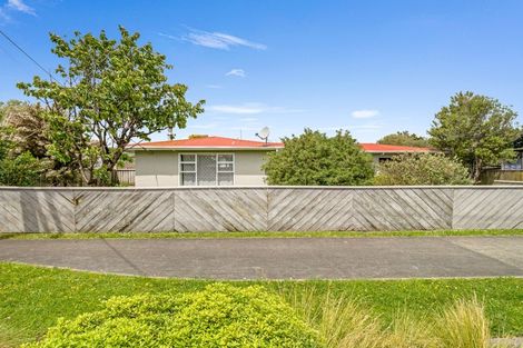 Photo of property in 68 Salisbury Street, Ashhurst, 4810