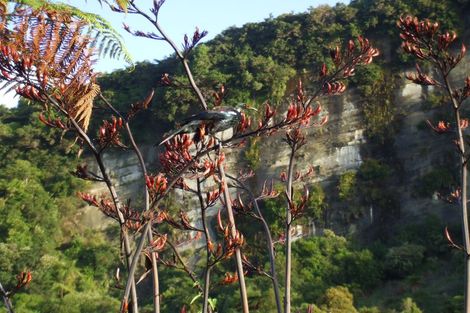 Photo of property in 61 Glasseye Drive, Little Wanganui, Karamea, 7893