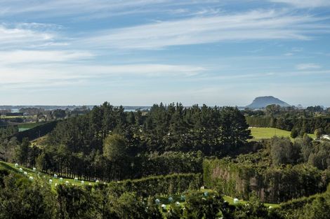 Photo of property in 198b Snodgrass Road, Te Puna, Whakamarama, 3174