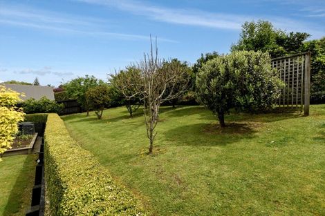 Photo of property in 16 Raukawa Drive, Bethlehem, Tauranga, 3110