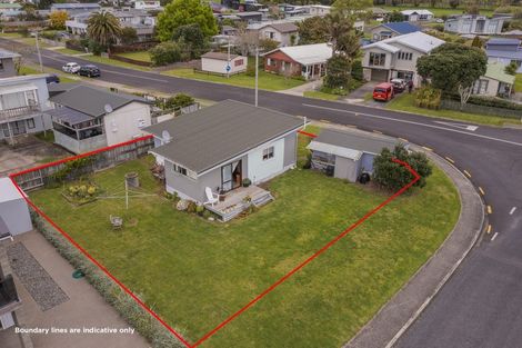 Photo of property in 239 Cook Drive, Whitianga, 3510