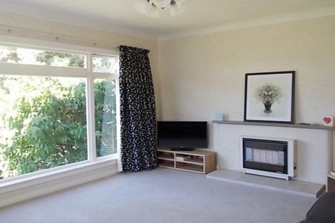 Photo of property in 141 Carlton Avenue, Springvale, Whanganui, 4501