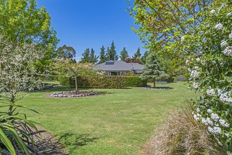 Photo of property in 1103 Downs Road, West Eyreton, Rangiora, 7475