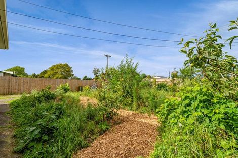 Photo of property in 151 Portia Street, Stratford, 4332