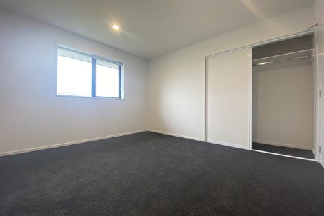 Photo of property in 17 Witte Street, Woodend, 7610