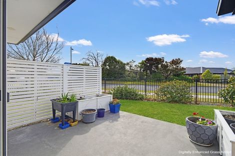 Photo of property in 1a Clifford Place, Amberley, 7410