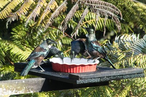 Photo of property in 2/12 Herons Way, Northcote, Auckland, 0627