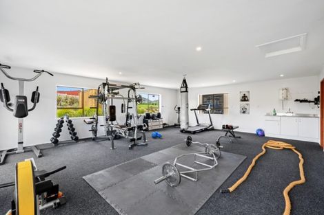 Photo of property in 221 Brookby Road, Brookby, Manurewa, 2576