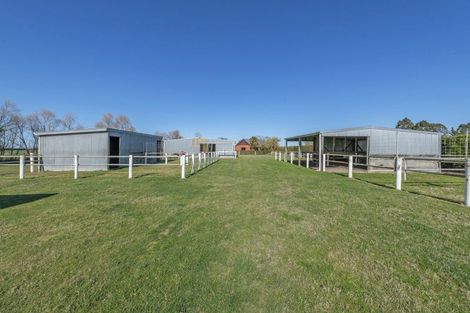 Photo of property in 1426 Wards Road, Charing Cross, Darfield, 7671