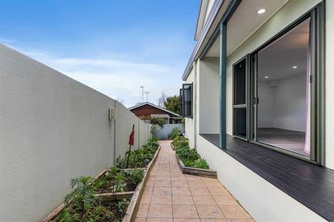 Photo of property in 1/11 Bronzewing Terrace, Unsworth Heights, Auckland, 0632