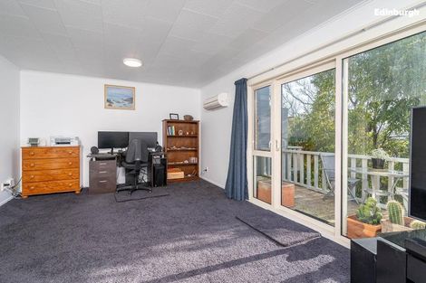 Photo of property in 229c Highgate, Roslyn, Dunedin, 9010