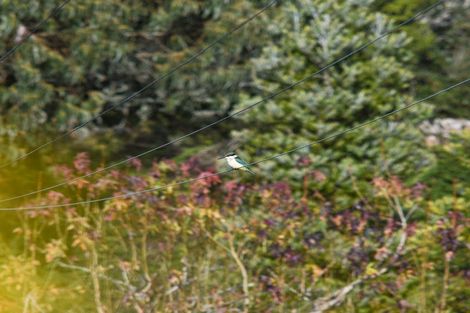 Photo of property in 65g Fryer Road, Hamurana, Rotorua, 3097