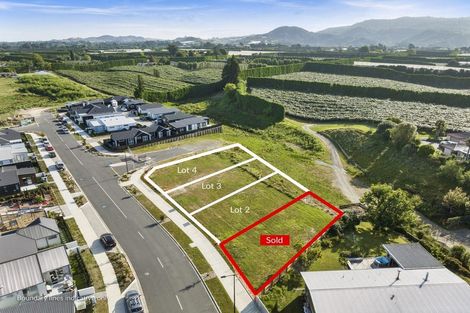 Photo of property in 89 Dunlop Road, Te Puke, 3119