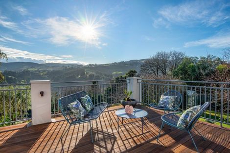 Photo of property in 113 Signal Hill Road, Opoho, Dunedin, 9010