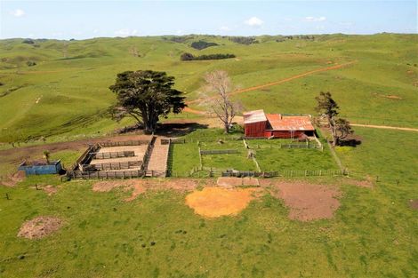 Photo of property in 429 Te Akau South Road, Te Akau, Ngaruawahia, 3793