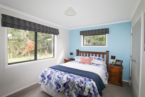 Photo of property in 105 Thompsons Road, Pahiatua, 4982