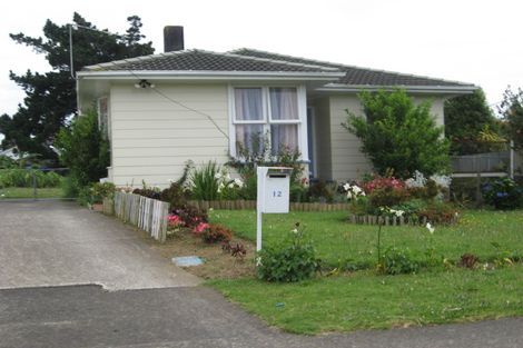 Photo of property in 12 Solent Street, Mangere, Auckland, 2022
