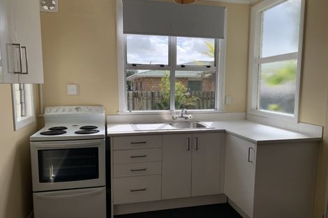 Photo of property in 138 Tiro Tiro Road, Levin, 5510