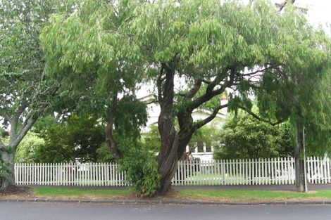 Photo of property in 45 Pencarrow Avenue, Epsom, Auckland, 1023